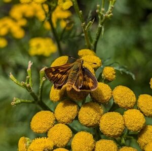 Meet your Posher, Kristina